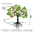 DR AID NPK 10-20-10 Heißverkauf Organische Verbindung Granular Schwefeldünger für Obst und Gemüse